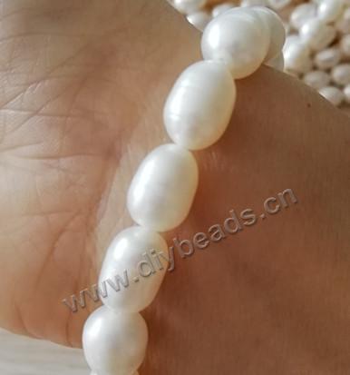 cultured freshwater pearl