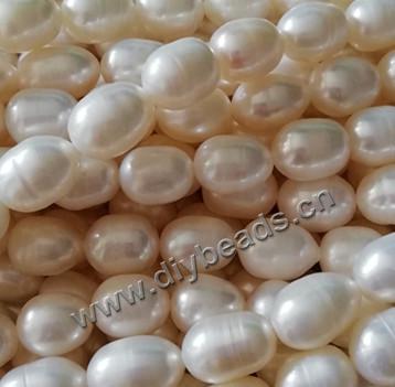 cultured freshwater pearl