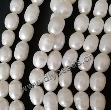 cultured freshwater pearl