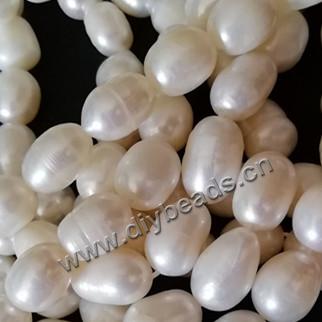 cultured freshwater pearl