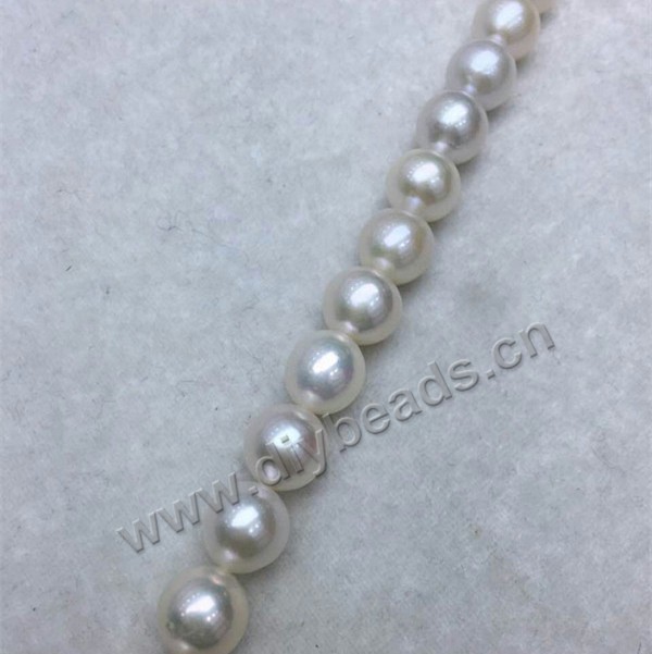 Pearl, cultured freshwater Edison pearl AAA+ quality , 11-12mm  round. Sold per 16-inch(40cm) 1  strand