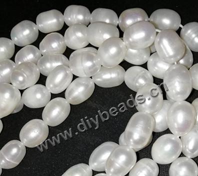 cultured freshwater pearl