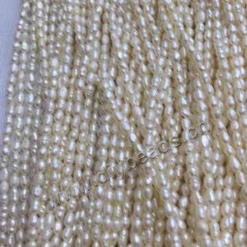 Pearl, cultured freshwater pearl,white ,2mm rice, A grade. Sold per bag of one strand