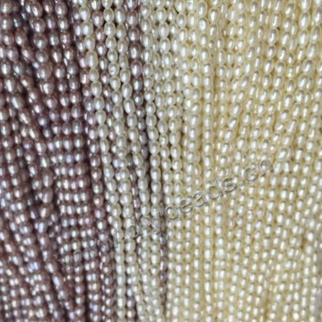Pearl, cultured freshwater,white purple and pink,2mm rice, AAA grade. Sold per bag of one strand